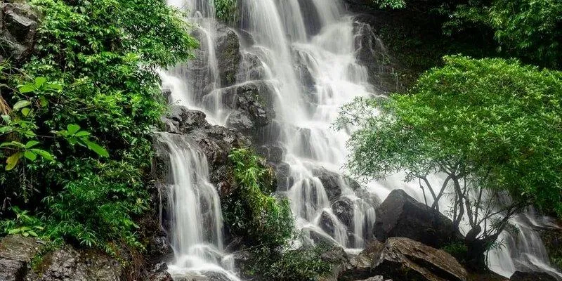 Ozo Park