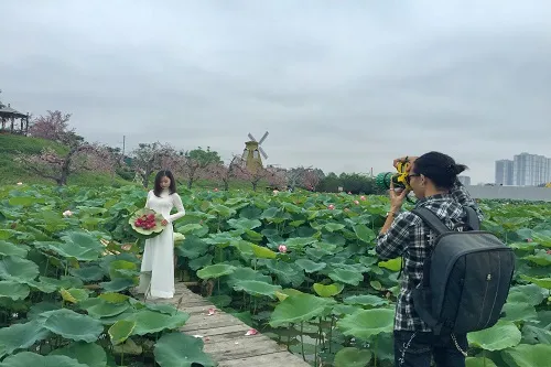 Xuan Dinh lotus pond with its wild and tranquil beauty, creating a novel feeling for photographers