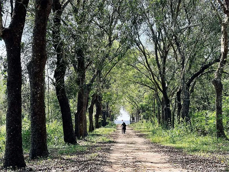 Cycling on the green trails in Phu Gia Farm