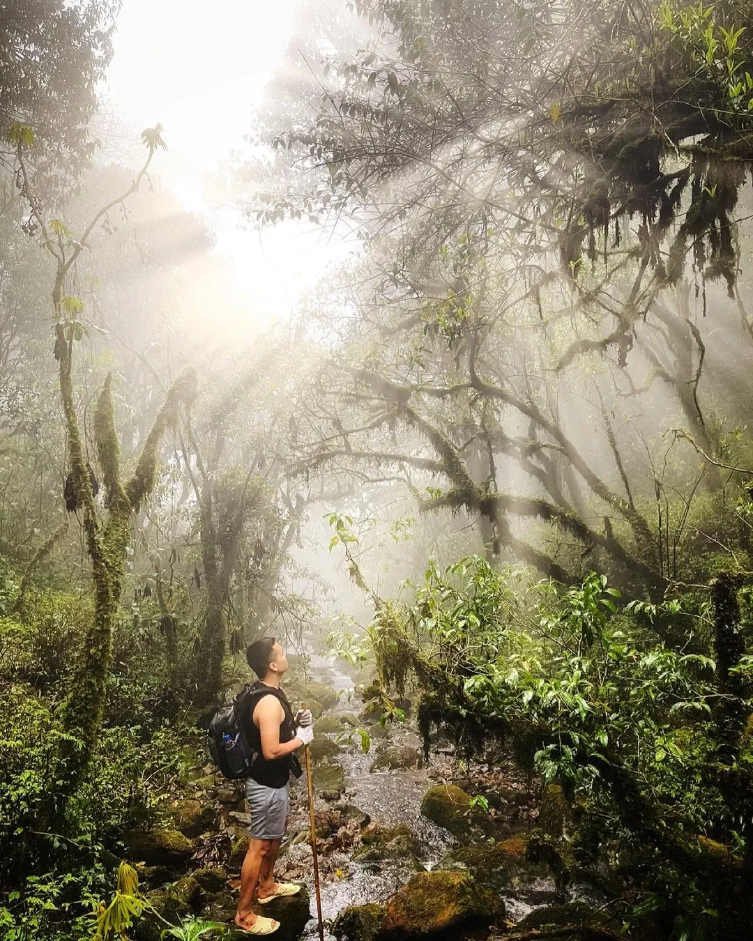 Steep, slippery terrain, the biggest challenge on the Pu Ta Leng trail.