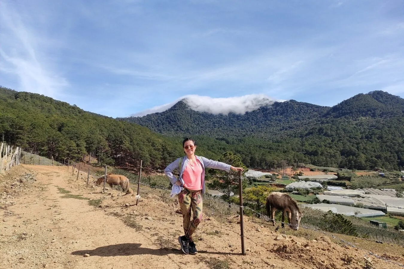 Trekking path on Langbiang mountain through green fields