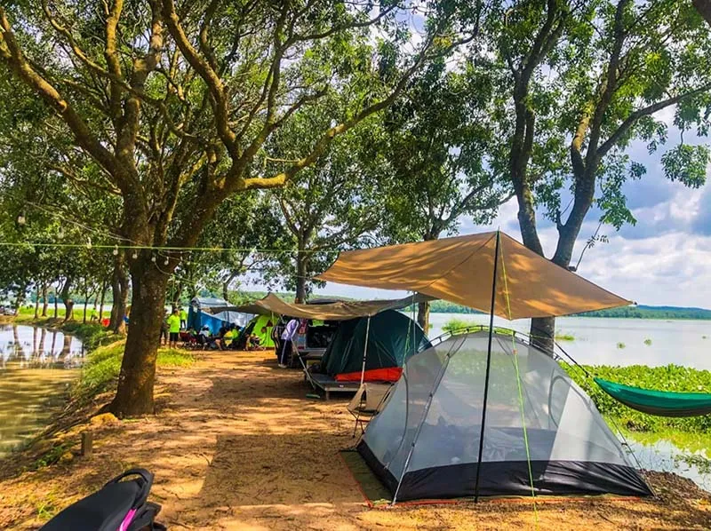 Visitors camping under the green trees at Phu Gia Farm