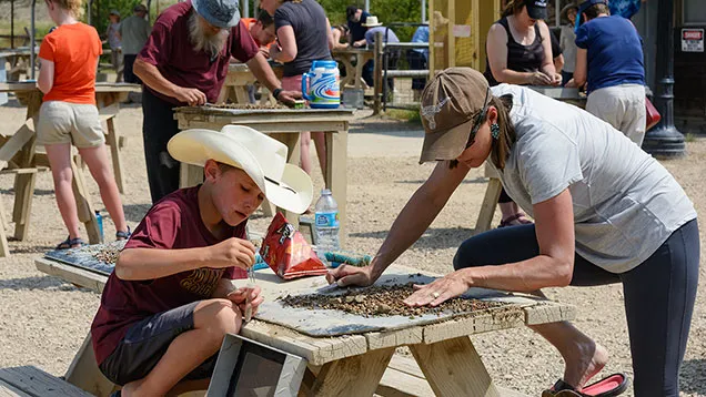 Visitors of all ages searching for gemstones at Gem Mountain.