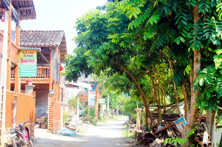 Du khách quốc tế thích thú trải nghiệm du lịch homestay tại Pác Ngòi, hòa mình vào không gian văn hóa và thiên nhiên độc đáo của bản làng