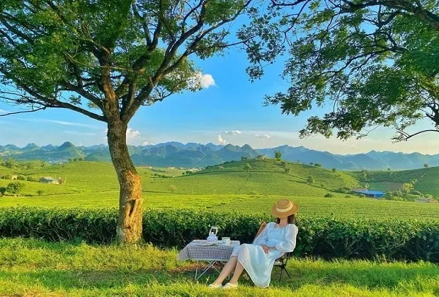 Tourists freely check-in at the vast green tea hills in Moc Chau during Tet Nguyen Dan