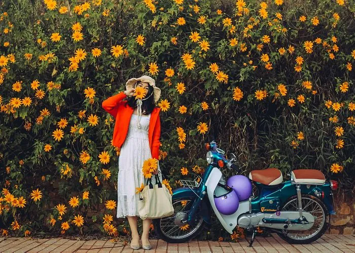 Tourists excitedly taking photos in the Da Lat wild sunflower forest