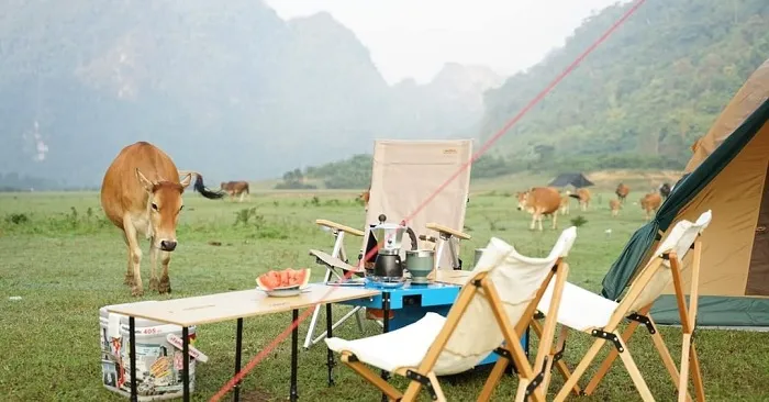 Tourists excitedly explore Dong Lam grassland