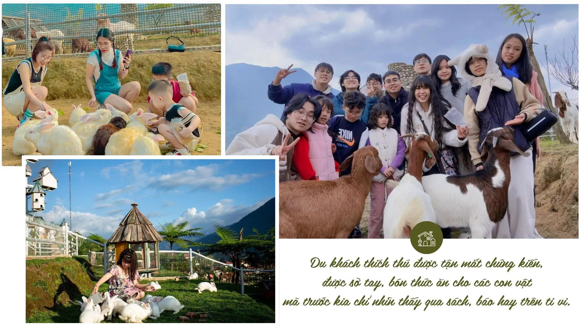 Du khách thích thú trải nghiệm chăm sóc động vật tại homestay nông nghiệp ở Lào Cai.