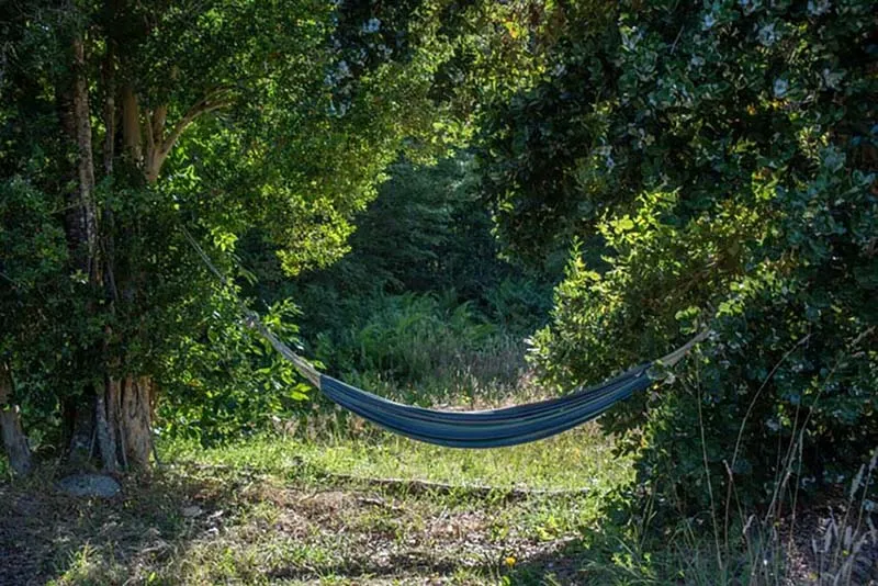 Visitors relaxing on a hammock amidst trees at Yen Ngua Range