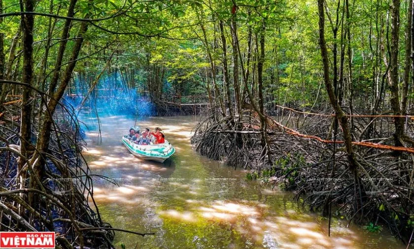 Du khách trải nghiệm hệ sinh thái ngập nước ven biển Đất Mũi-Cà Mau.