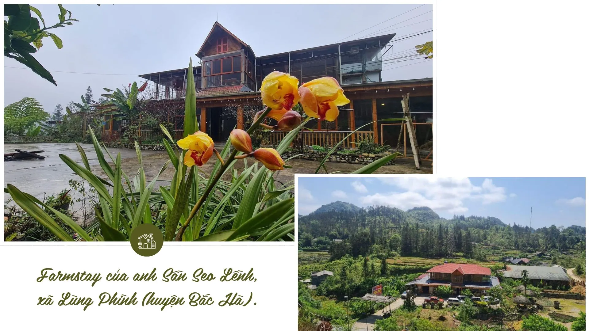 Du khách trải nghiệm thu hoạch rau tại một farmstay ở Lào Cai, tận hưởng sản phẩm nông nghiệp tươi ngon.