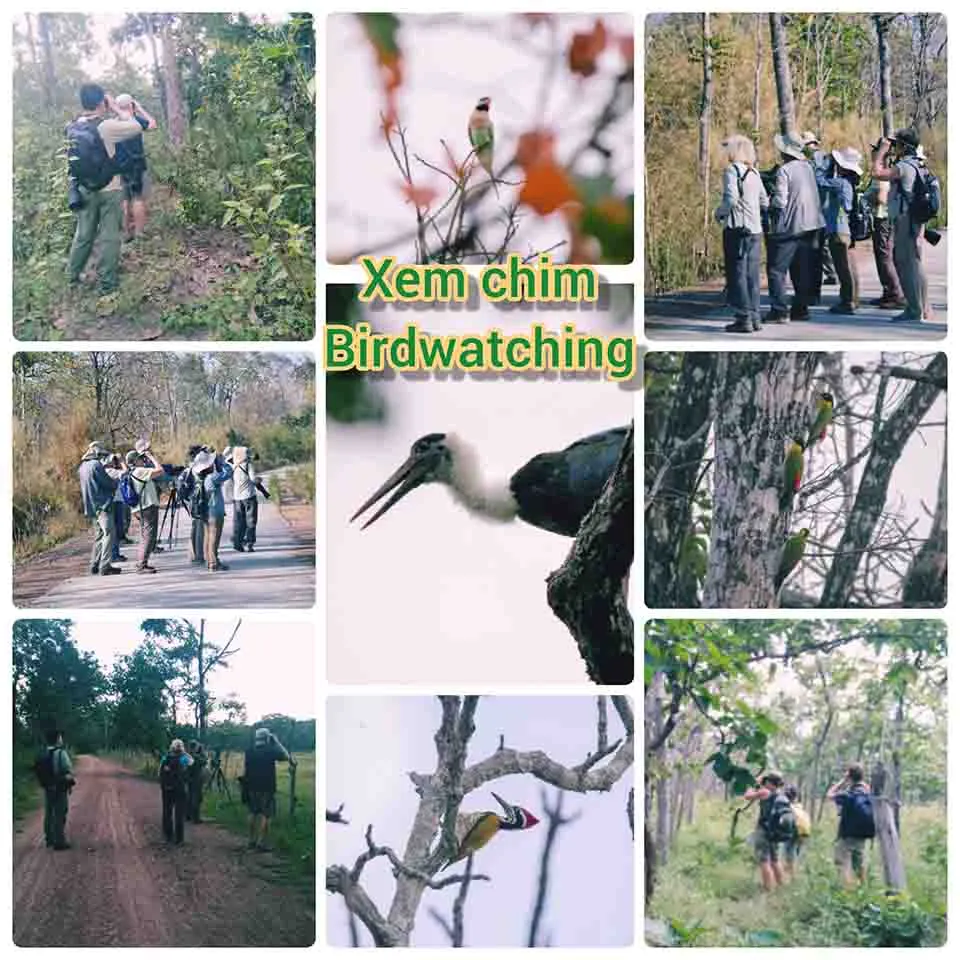 Tourists experience gong culture in Buon Don