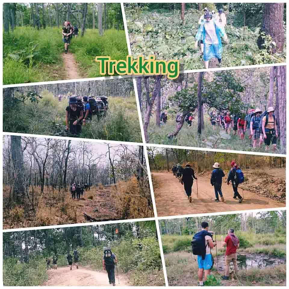 Tourists trekking to explore Yok Don