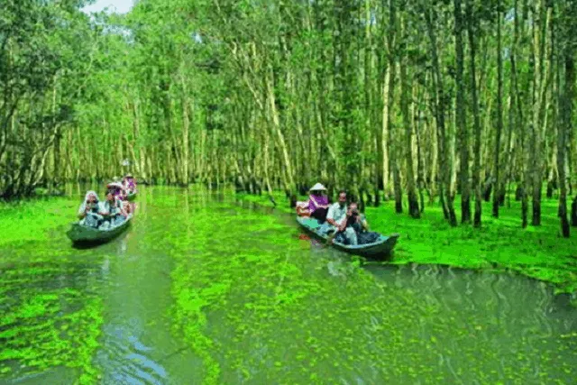 Diverse ecotourism services in Can Gio