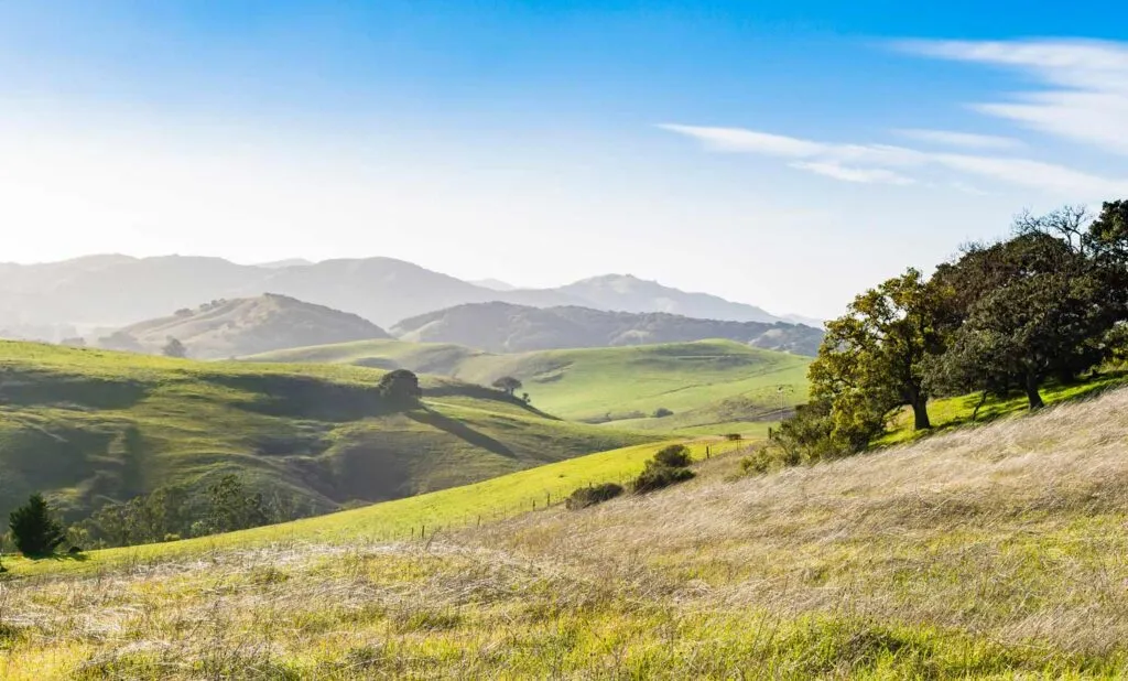 Ridge Trail in Helen Putnam Regional Park offering scenic views and wildflower meadows.