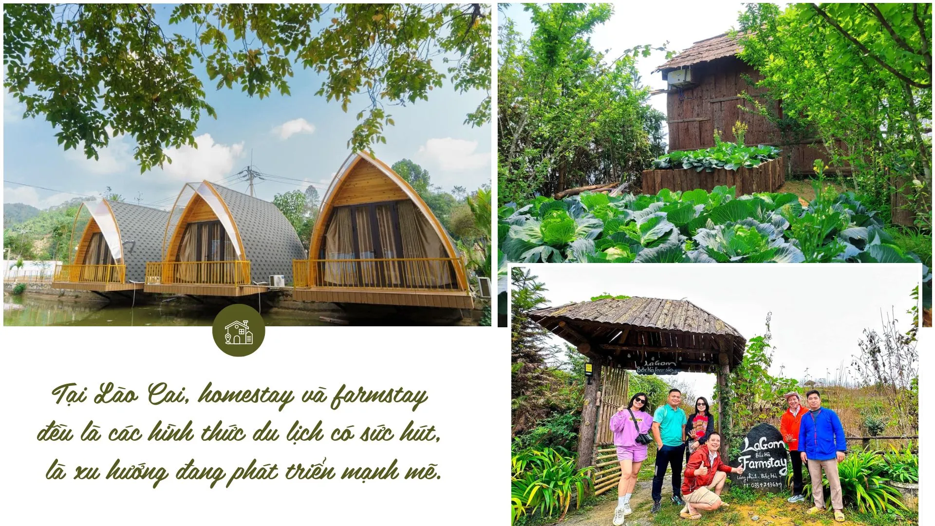 Farmstay xanh mát ở Lào Cai, điểm đến lý tưởng cho du khách yêu thích du lịch nông nghiệp và trải nghiệm thiên nhiên.