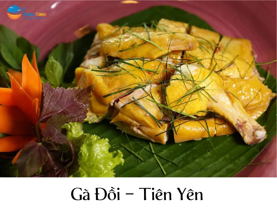Gà đồi Tiên Yên, đặc sản Quảng Ninh nổi tiếng với thịt chắc, thơm ngon và da vàng óng