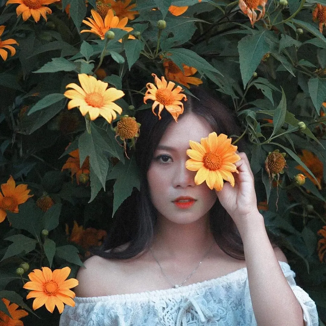 Suggestions for "million-like" photo poses with Da Lat wild sunflowers