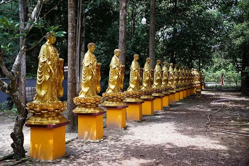 Rows of unique gilded Buddha statues in the pagoda