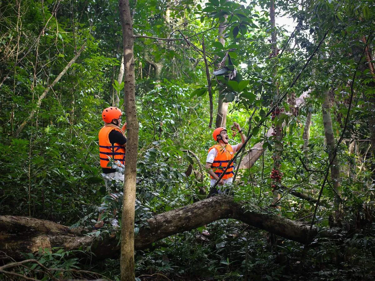 Diverse and rich ecosystem of Kon Chu Rang Nature Reserve awaits your exploration