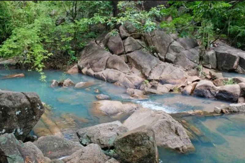 A winding paved road leading up Nui Dinh mountain surrounded by trees