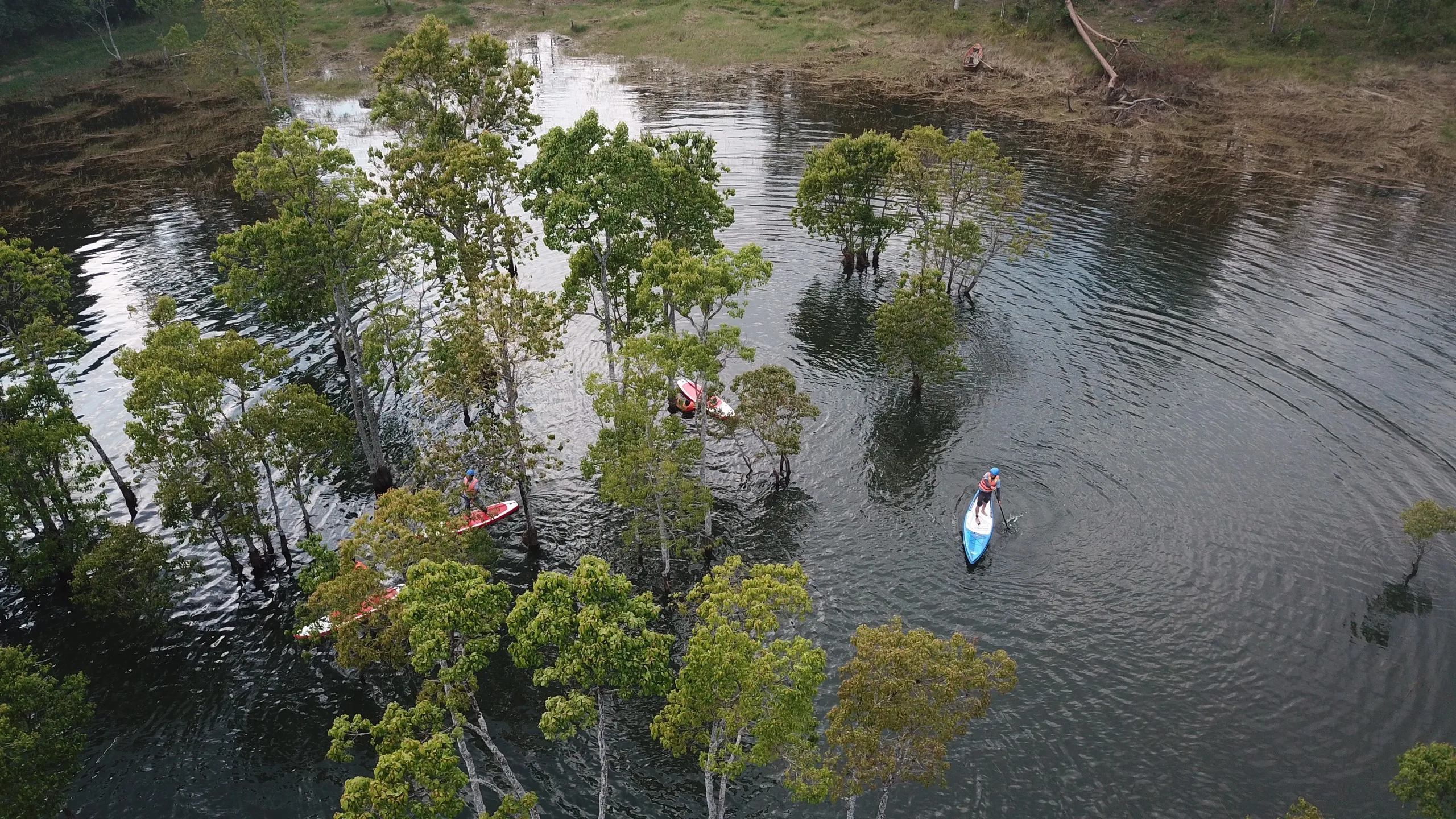 Aerial view captured by drone during stand-up paddleboarding