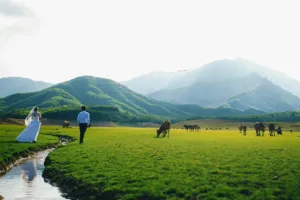 Hồ Hòa Trung vào mùa cạn, với đồng cỏ vàng trải dài ven hồ, tạo nên một khung cảnh lãng mạn và thơ mộng, thu hút nhiều du khách đến tham quan và chụp ảnh.