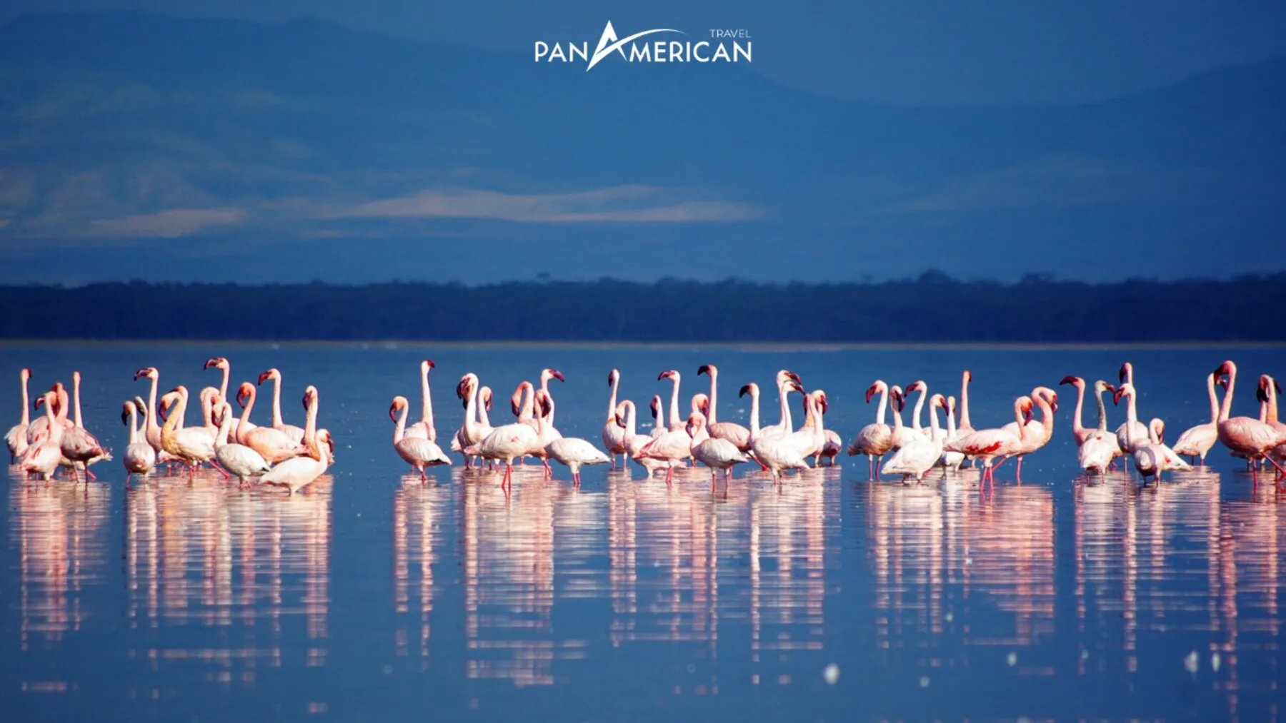 Lake Nakuru with thousands of flamingos gathering