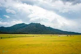 Hồ Núi Một vào mùa cạn, để lộ ra những bãi cỏ xanh mướt ven hồ, tạo nên một không gian rộng lớn và thoáng đãng, thích hợp cho các hoạt động vui chơi và cắm trại.