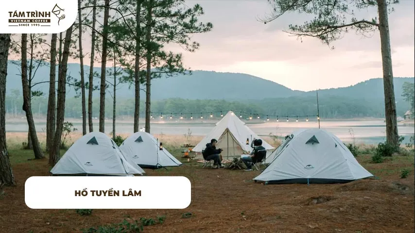 Hồ Tuyền Lâm địa điểm cắm trại gần trung tâm Đà Lạt