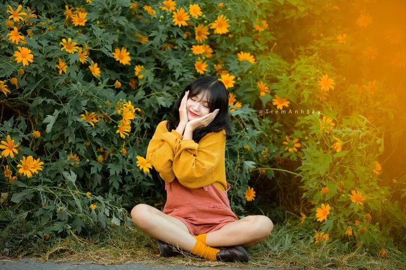 Hoa dã quỳ nở rộ tại cổng Vườn Quốc Gia Ba Vì, điểm đến lý tưởng cho những bức ảnh check-in mùa hoa vàng rực rỡ