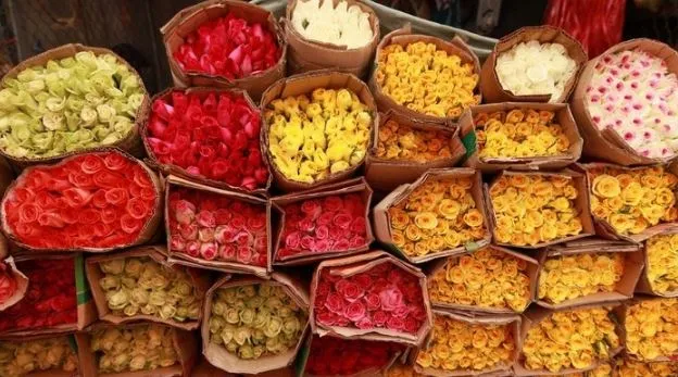 hoa đua sắc tại chợ Hồ Thị Kỷ