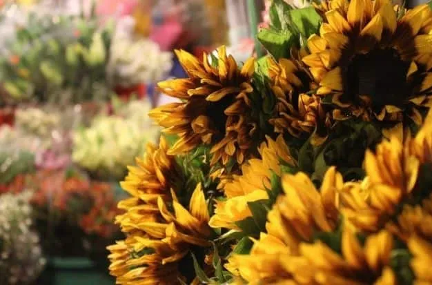 Bright sunflowers display their vibrant colors in the daytime bustle of Ho Thi Ky Flower Market.