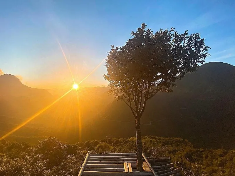 Romantic sunset viewed from Sapa lonely tree