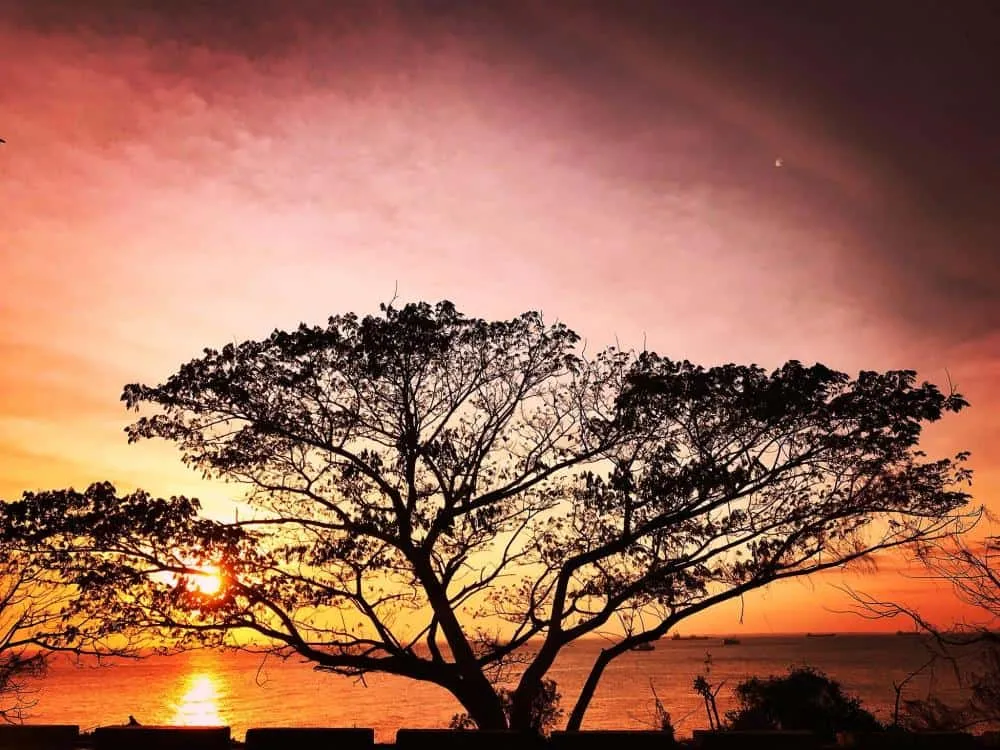 Sunset on Thuy Van coastal road in Vung Tau, where twilight shines on the ocean and green coconut trees.