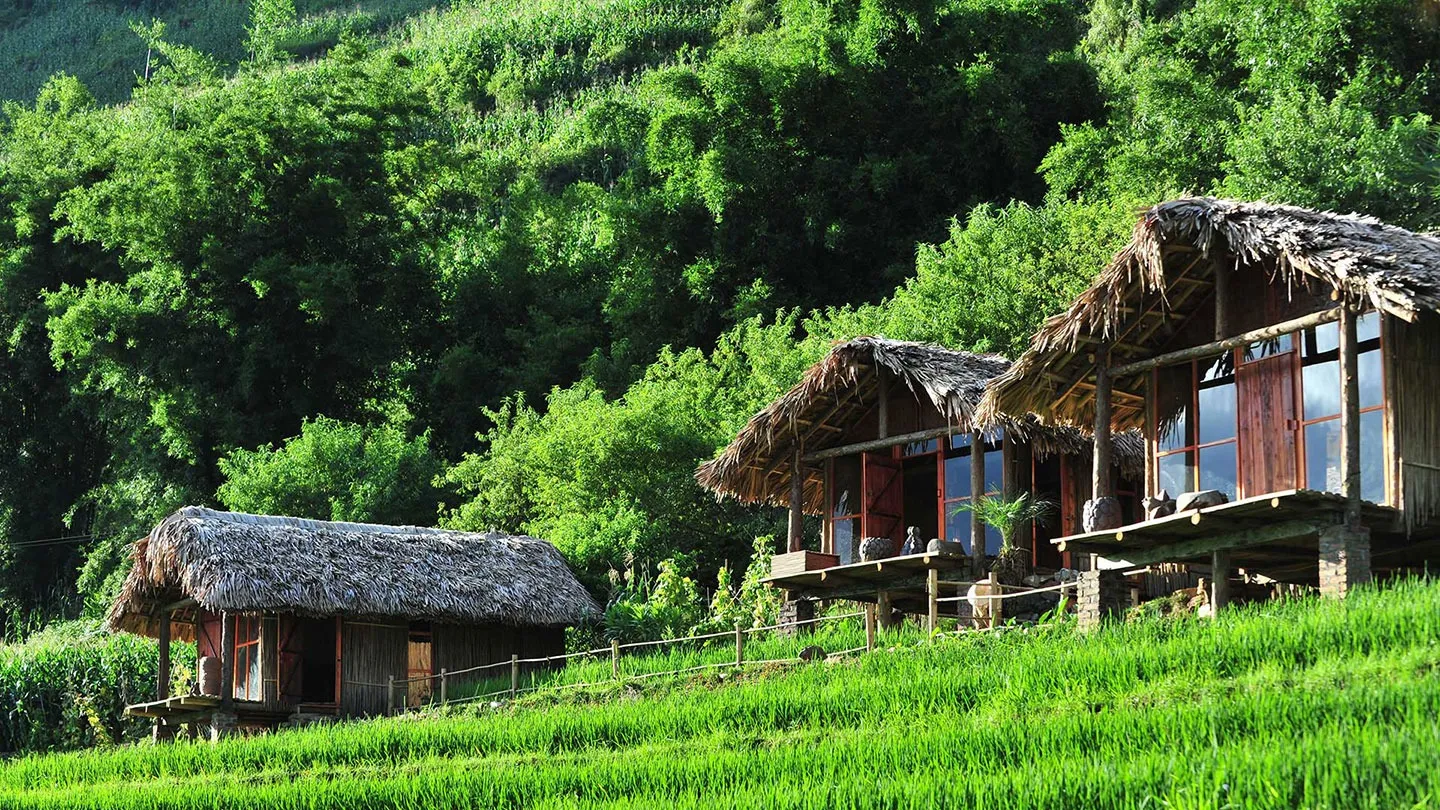 Homestay phong cách Natural với không gian mở và vật liệu tự nhiên