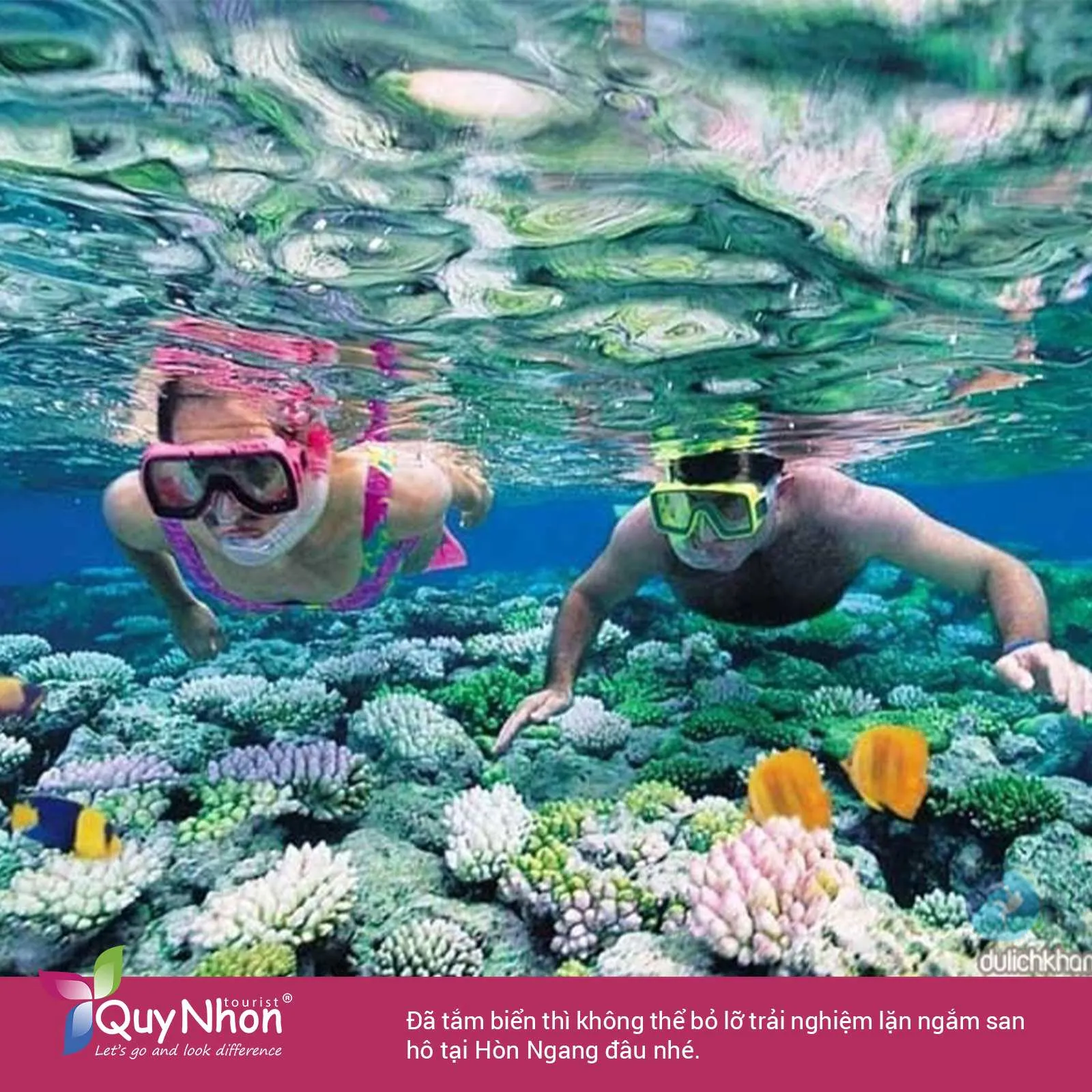 Khám phá Bãi Xếp Quy Nhơn trải nghiệm lặn ngắm san hô.