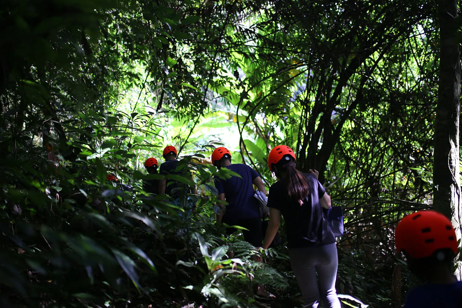 Exploring rugged trekking trails requiring perseverance and good health