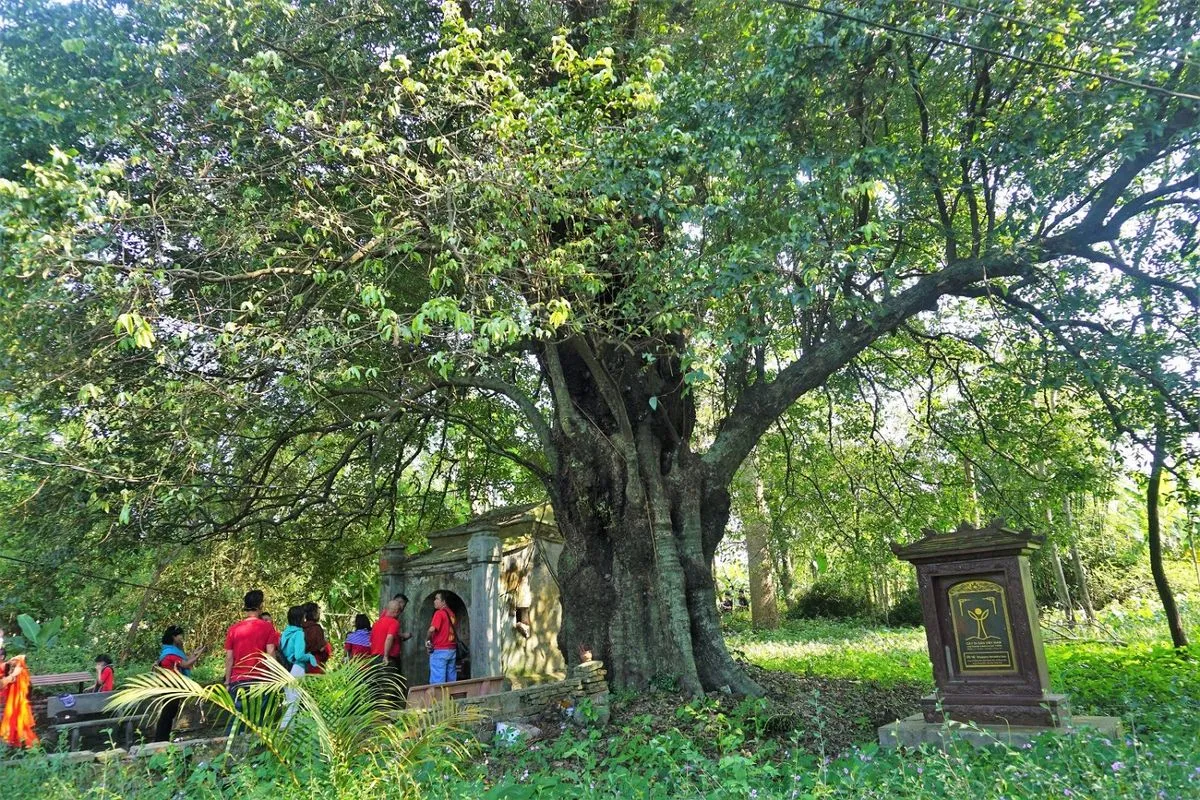 Ancient and sacred space at Cay Thi Temple