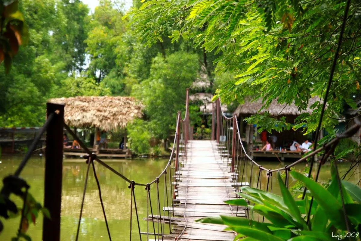 Green natural space with lush trees and a lake