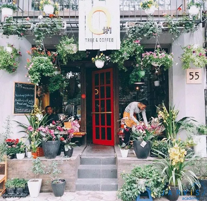 Không gian xanh mát và thư giãn tại Ohi Tree &amp; Coffee