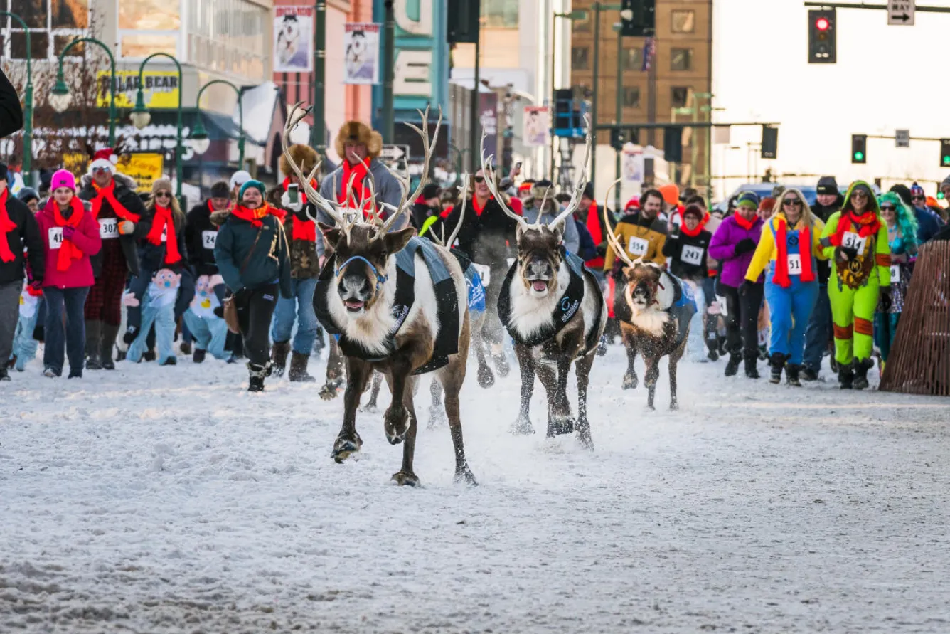Không khí náo nhiệt của lễ hội Fur Rendezvous tại Anchorage, Alaska