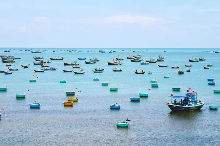 Boats bustling in Mui Ne sea in the early morning, the liveliest moment of the fish market.