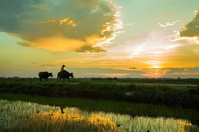 Romantic sunset scene over Tra Que vegetable village, creating a wonderful relaxing space for visitors after a day of exploration