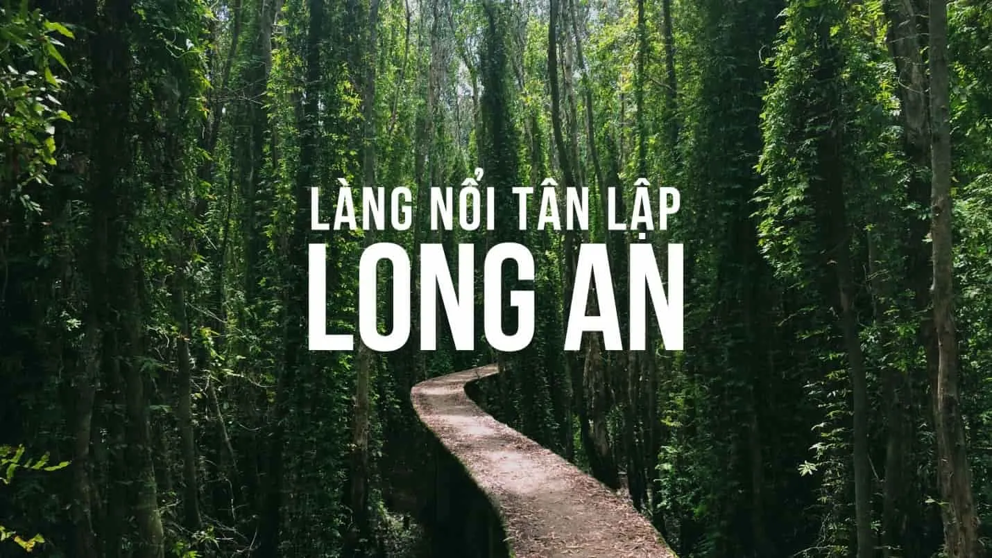 Khung cảnh Làng nổi Tân Lập Long An mùa nước nổi với rừng tràm xanh ngát và những con đường mòn