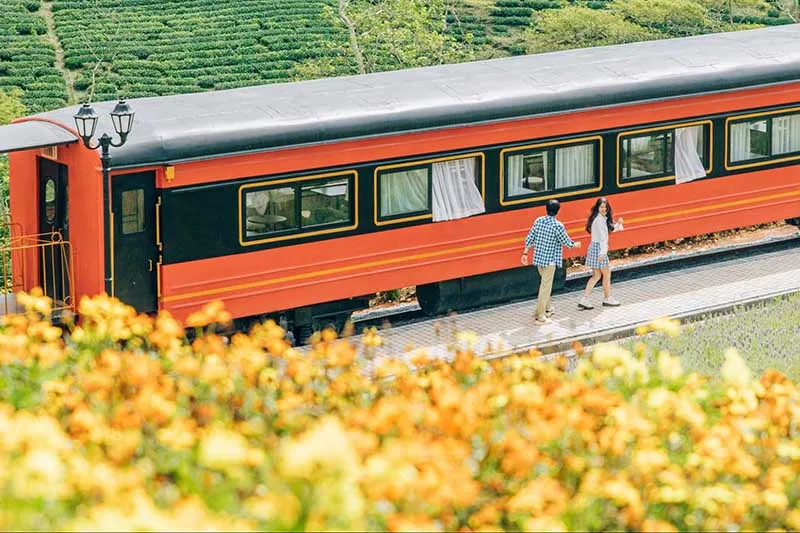 Khung cảnh nên thơ của Đà Lạt nhìn từ tuyến đường sắt Đà Lạt - Trại Mát, một hành trình du lịch bằng tàu hỏa lãng mạn và nhẹ nhàng.