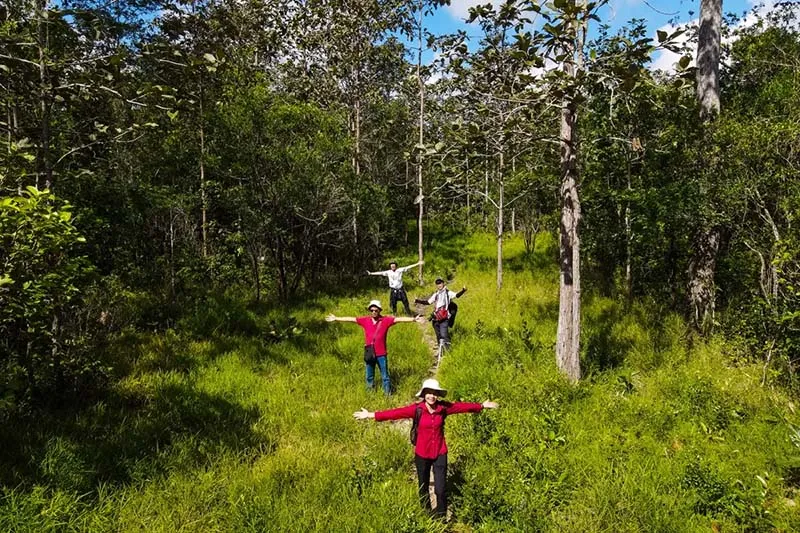 Beautiful natural scenery on the trekking trail of Cau Mountain