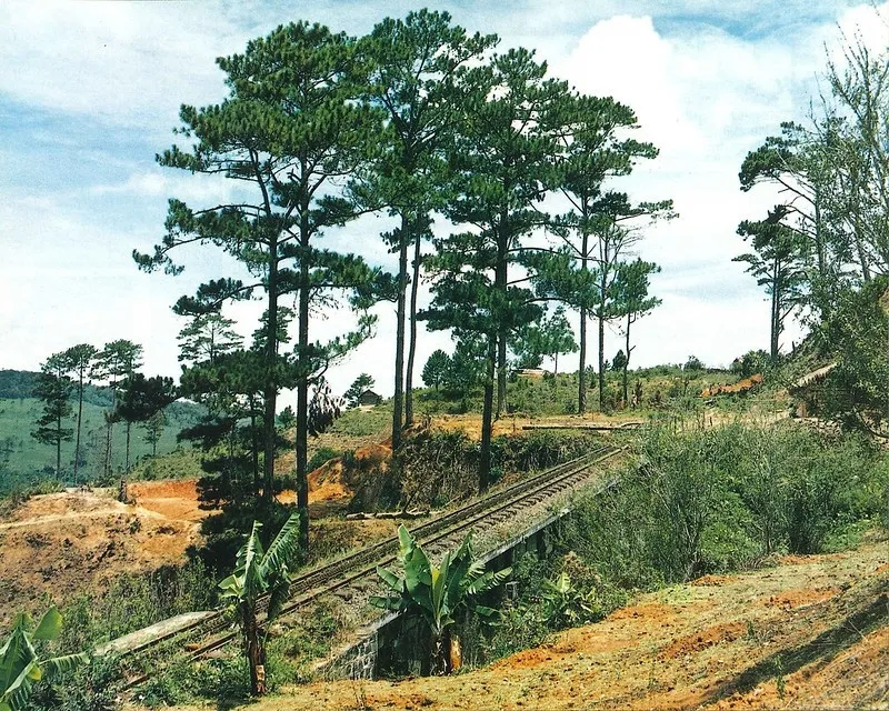 Khung cảnh thiên nhiên tuyệt đẹp dọc tuyến đường sắt Phan Rang - Đà Lạt