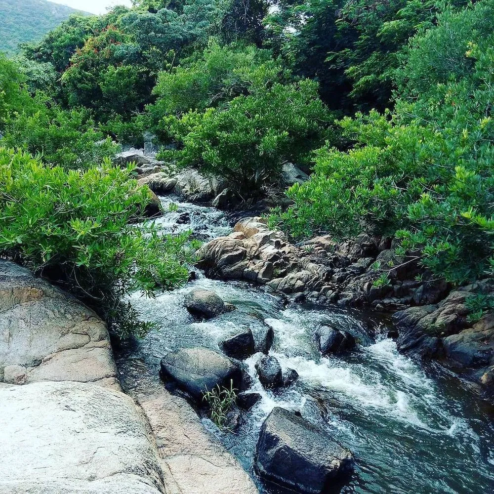 Khung cảnh thiên nhiên tuyệt đẹp trên cung đường sắt đến Phan Rang
