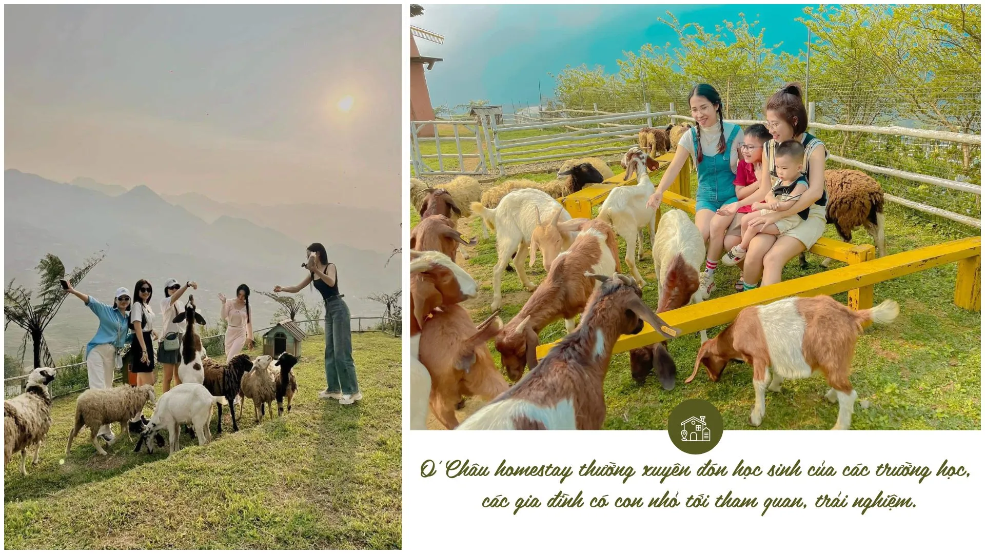 Khung cảnh xanh mát tại O'Châu homestay, nơi du khách hòa mình vào thiên nhiên và trải nghiệm cuộc sống nông thôn.